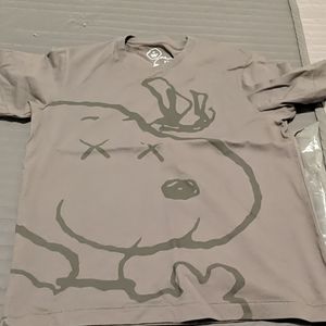 Kaws Uniqlo